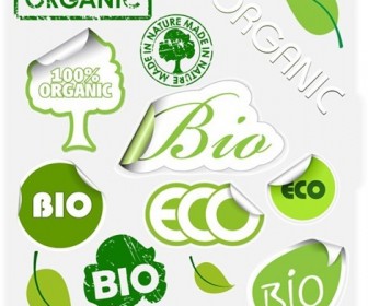 30 Inspiration vector organic elements