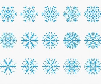 Snowflake Vectors