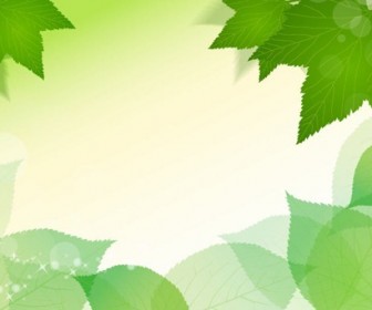 Spring Fresh Green Leaves Vector Illustration
