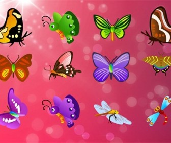 Free Butterfly Vector Set