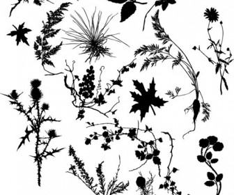 Plant Silhouettes Vector Set