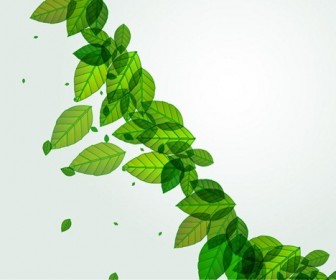 Fresh Green Leaves Vector Background