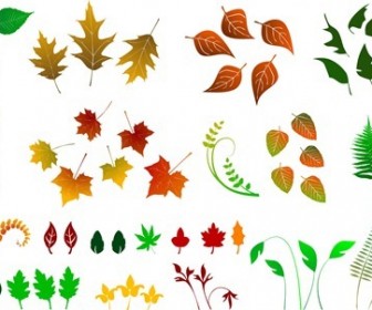 Huge Collection of Vector Leaves