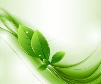 Eco Leaves and Green Wave Vector