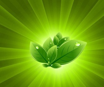 Leaves with Green Light Burst Vector Abstract Background