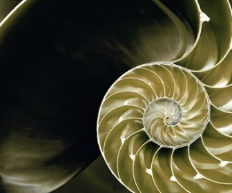 Windows 8 RTM Wallpaper and Lock Screen Image