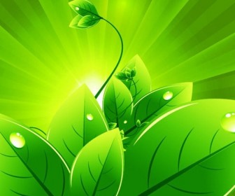 Vector Background with Green Leaves