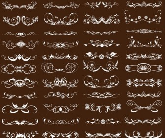 Vector Set of Vintage Floral Design Elements