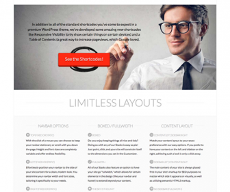 The Ultimate WordPress Theme from Theme.co