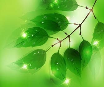 Nature Background with Fresh Green Leaves