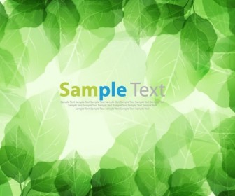 Spring Season Fresh Green Leaves Vector Background