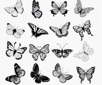 Set of Butterflies Silhouettes Vector Illustration