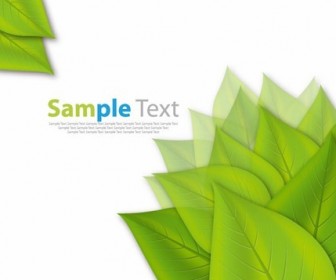 Fresh Green Leaves ECO Vector Background