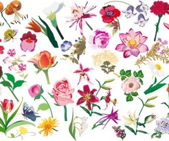 Various Flowers Vector Image Set