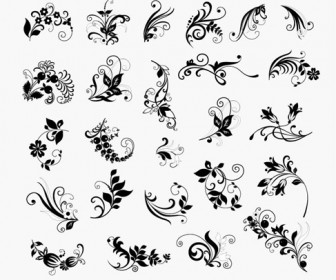 Vector Set of Floral Elements for Design