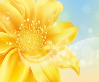 Golden Flower Vector Graphic