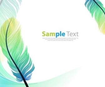 Vector Color Feathers Background