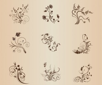 Set of Floral Elements for Design Vector Illustration