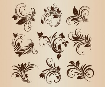 Vector Set Floral Design Elements