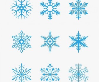 Set of Vectors Snowflakes