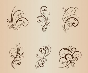 Collection of Floral Design Elements Vector Illustration