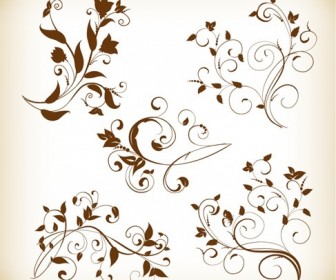 Decorative Swirl Floral Elements Vector Graphics Set