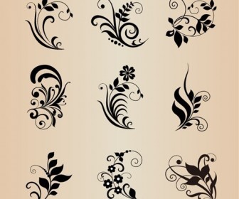 Vector Collection of Floral Elements for Design