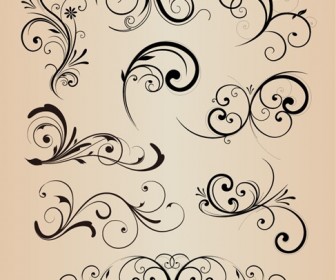 Vector Collection of Design Floral Elements