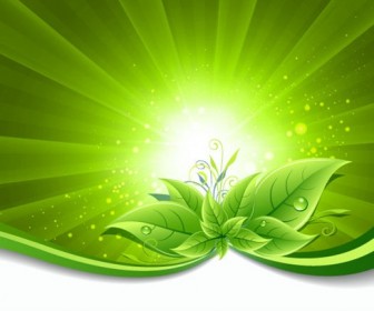 Green Leaves on Burst Background Vector Illustration