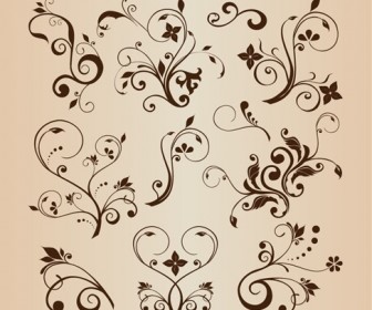 Vector Llustration Set of Swirling Flourishes Decorative Floral Elements