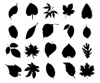 Vector Collection of Leaf Silhouettes