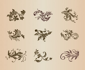 Vector Set of Vintage Floral Ornament Elements for Design