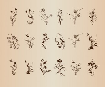 Set of Floral Design Element Vector