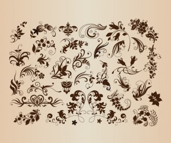 Design Floral Set Vector Illustration