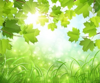 Green Natural Background Vector Illustration