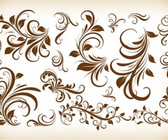 Vintage Floral Design Elements Vector Illustration Collection