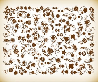 Vector Set of Floral Vintage Vector Design Elements