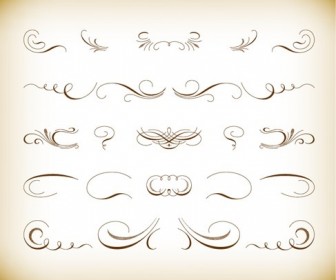 Calligraphic Floral Design Vector Set