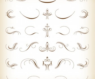 Calligraphic Floral Design Elements Vector Set