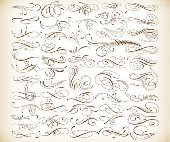 Calligraphic Elements Vector Set for Your Design