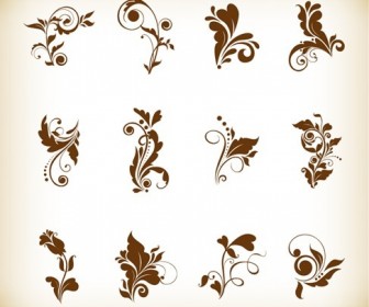 Set of Beautiful Floral Elements Vector Illustration