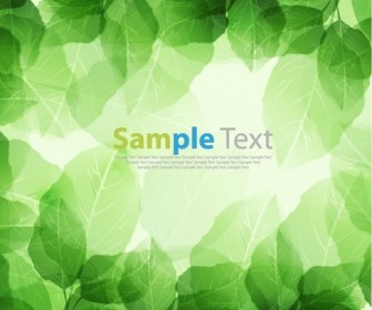 Vector Illustration of Green Leaves Background