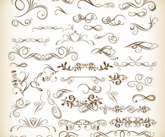 Vector Illustration of Floral Design Elements