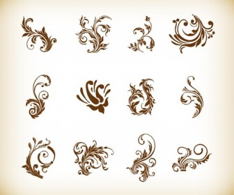 Vector Illustration Set of Swirl Floral Elements for Design