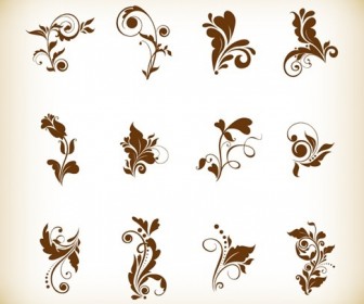 Vector Illustration Set of Floral Elements for Your Design