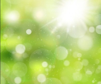 Natural Green Bokeh Background Vector Illustration